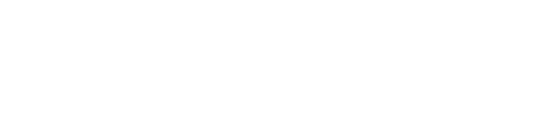 Digiguru is the showcase of Creative Director Craig Jamieson