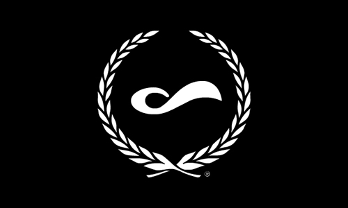 Digiguru