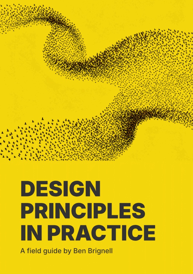 Design Principles in Practice — book cover